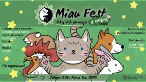 Ya viene MIAU Fest 2022, el festival para ayudar a michis