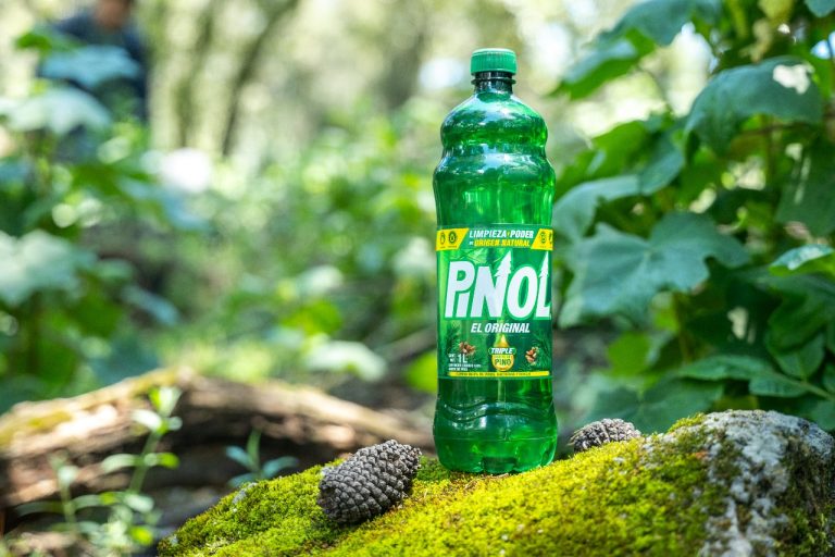 Pinol siembra más de 3,500 pinos: ¡Su campaña de reforestación es un hit!